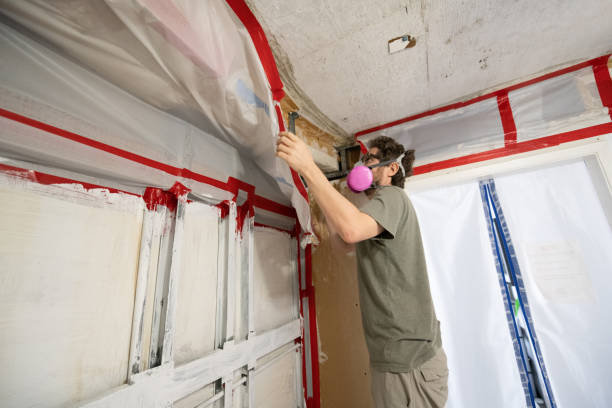 Best Mold Remediation for Vacation Homes  in USA